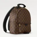 Discovery backpack